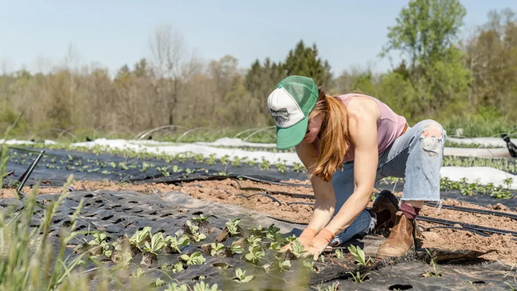 These-regenerative-agriculture-trials-prove-that-farming-can-improve-soil-health-without-sacrificing-yield | WBCSD