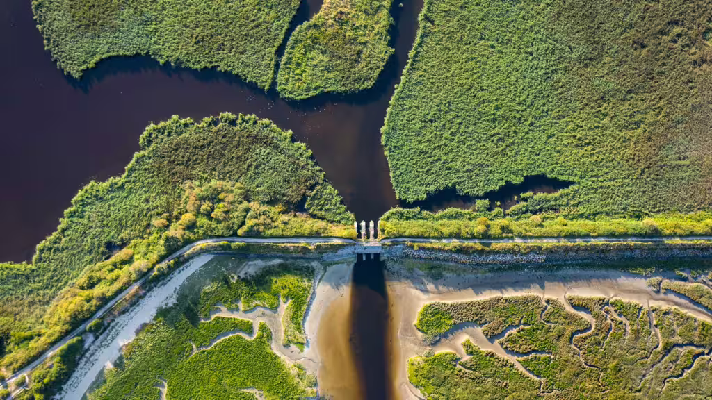 A-look-forward-to-COP16 | WBCSD COP16