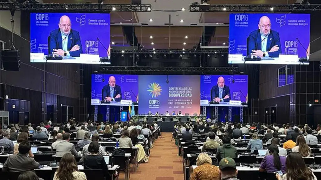 COP16-takeaways | WBCSD COP16 - key decisions taken