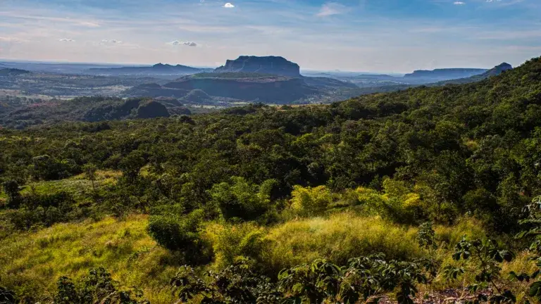 Serra-da-Petrovina-sandstone-mountain-range-in-Mato-Grosso-Brazilian-savannah