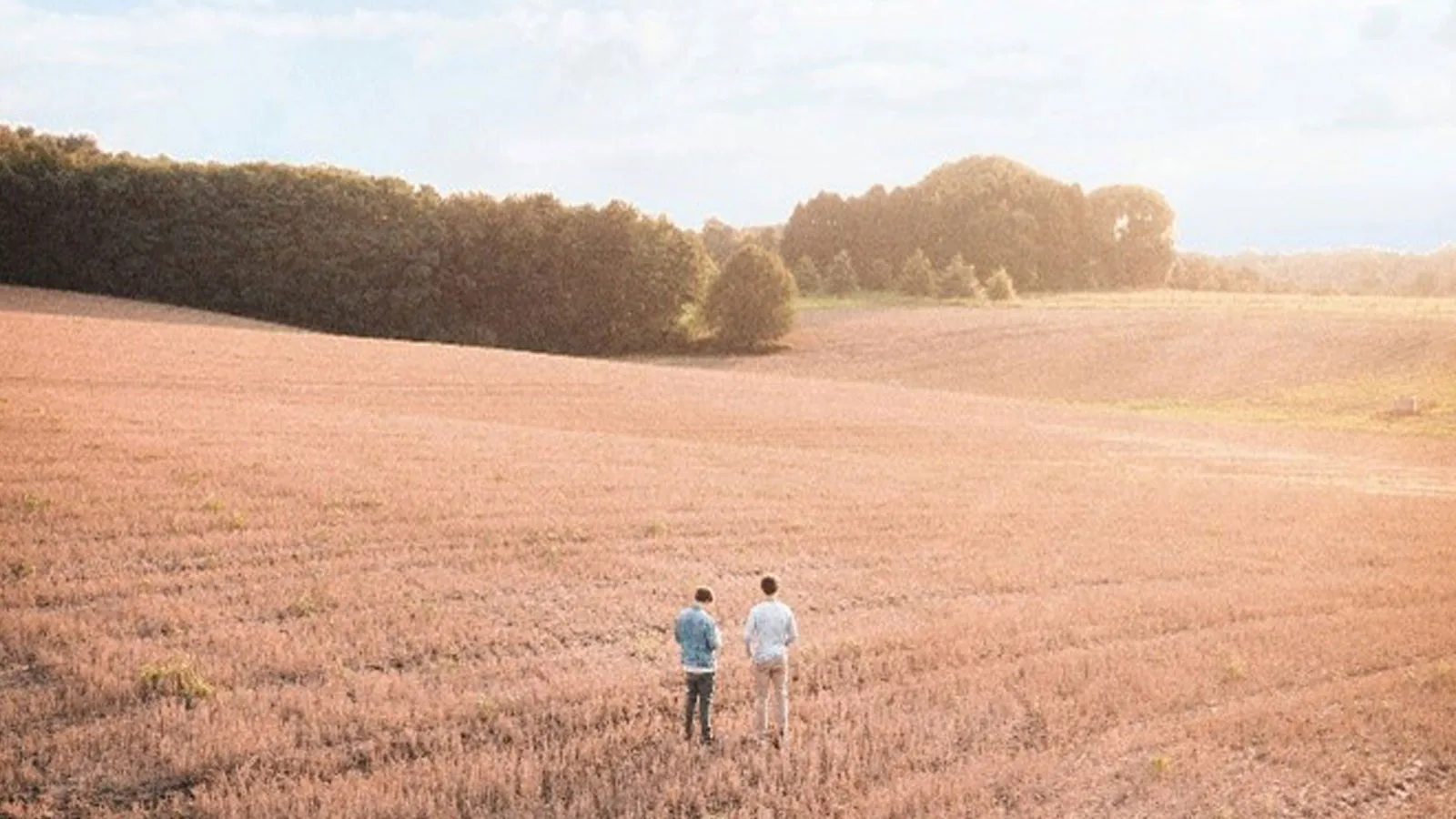 Discover Europe’s roadmap to regenerative agriculture