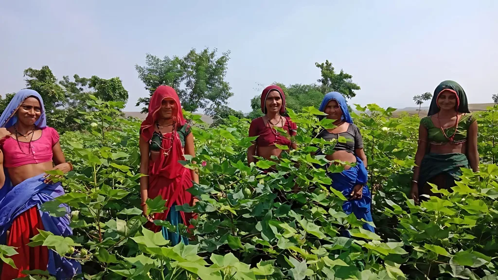 Explore Inditex India project – sustainable supply chains from field to fashion