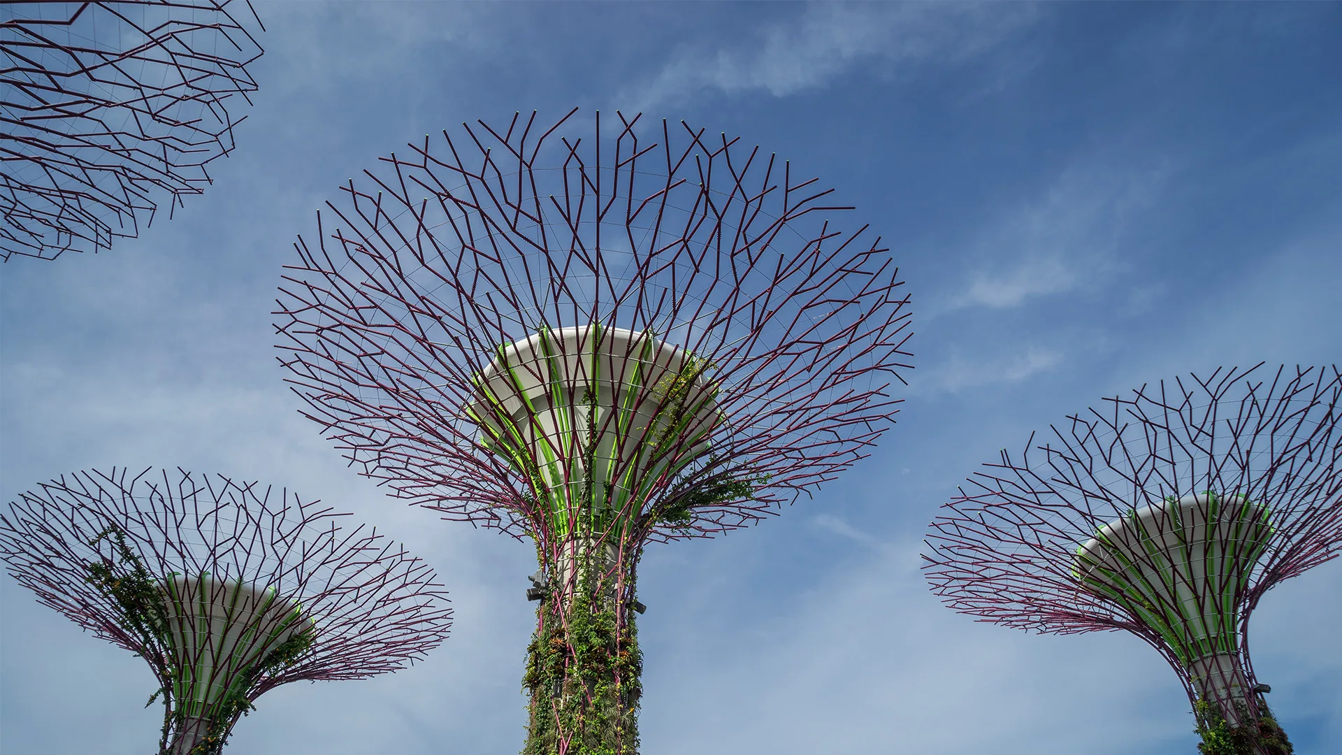 WBCSD Connect
